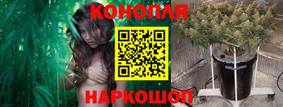 сатива Сланцы