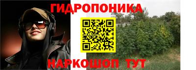 сатива Сланцы