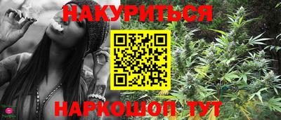 сатива Сланцы