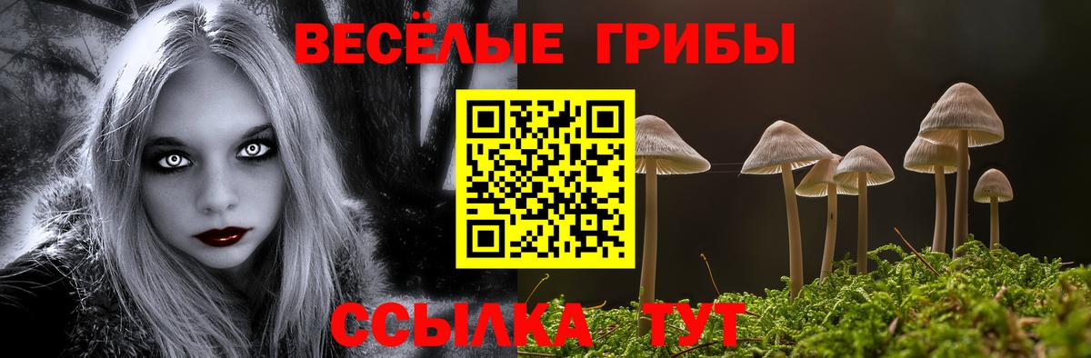 Новозыбков  Псилоцибиновые грибы прущие грибы  Вход с VPN  Галлюциногенные грибы Cubensis 