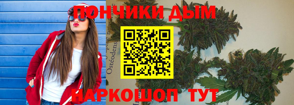 Бошки Шишки конопля  Вход с VPN  Конопля Ganja  Марихуана индика  Новозыбков 